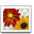 png_image.png